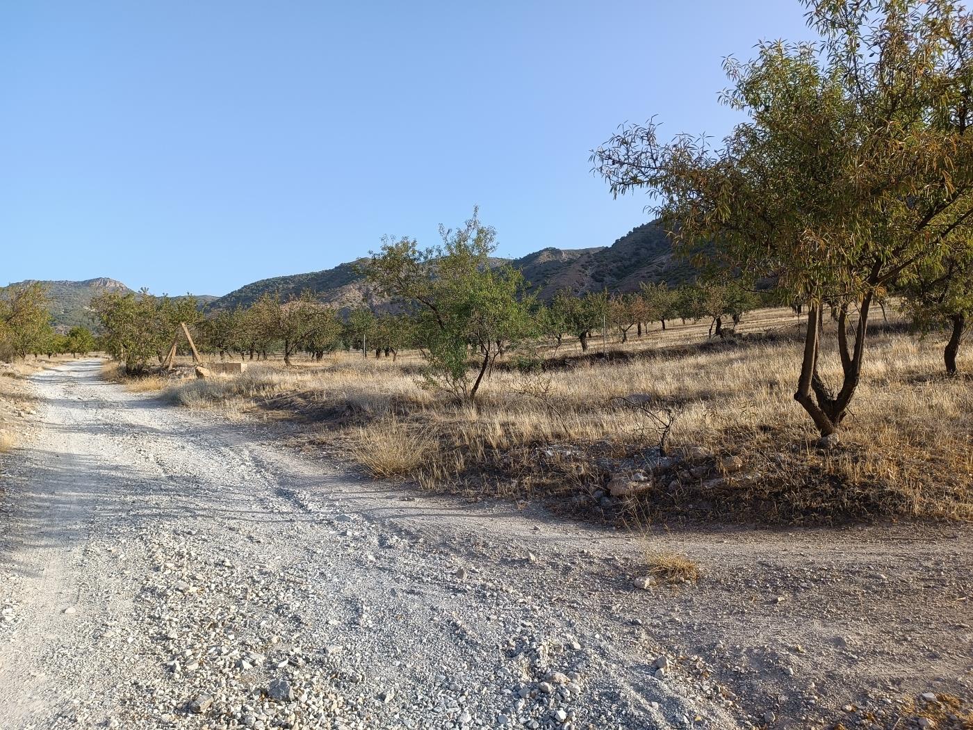 Domaine agricole irrigué avec un puits communautaire de 8000 m2 à Dúrcal. à Dúrcal