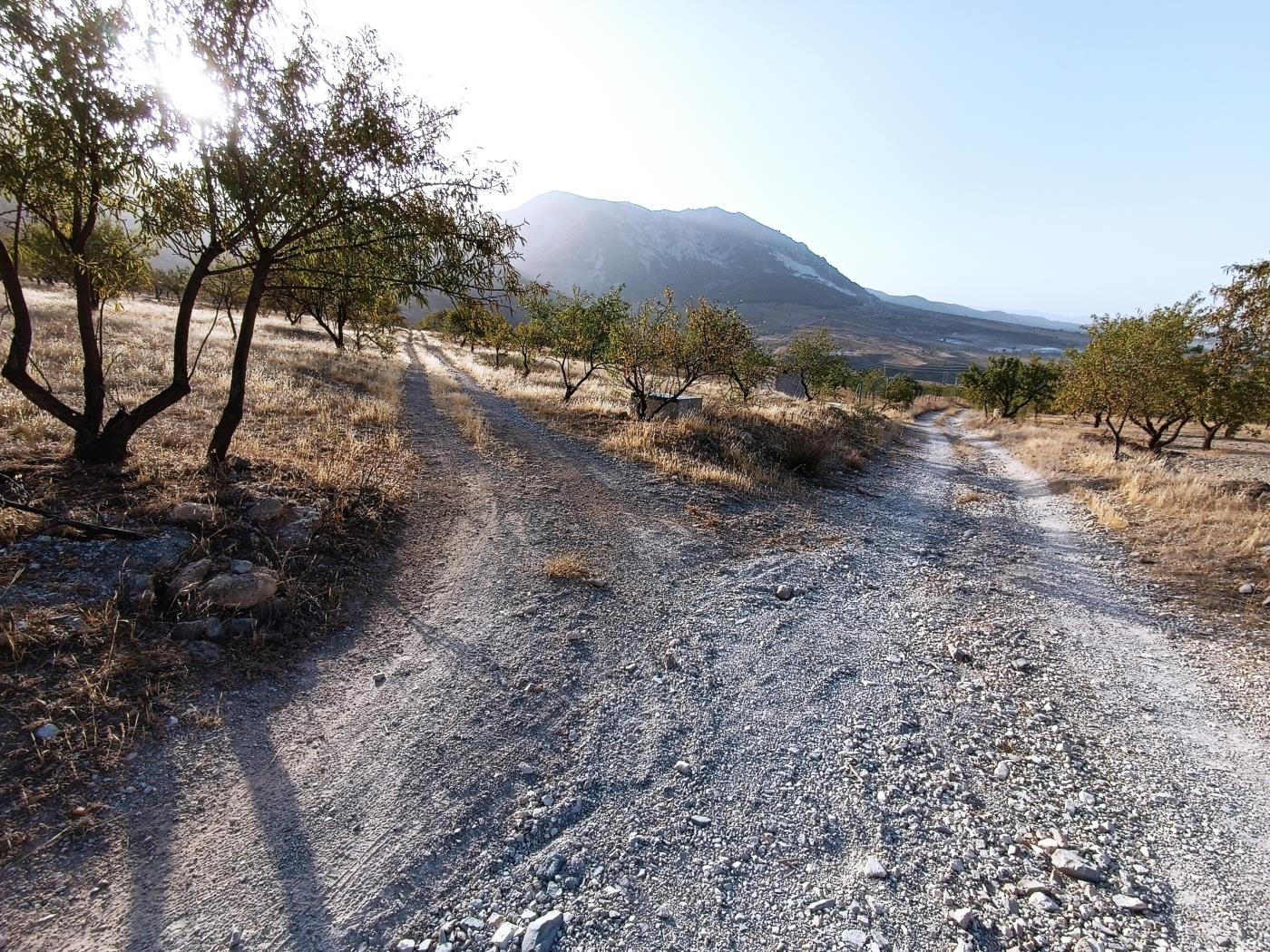 Domaine agricole irrigué avec un puits communautaire de 8000 m2 à Dúrcal. à Dúrcal
