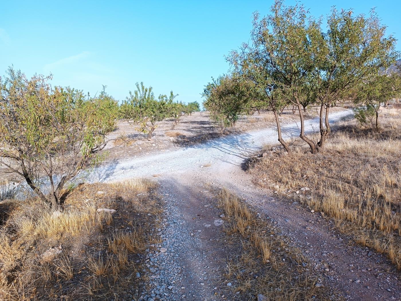 Domaine agricole irrigué avec un puits communautaire de 8000 m2 à Dúrcal. à Dúrcal