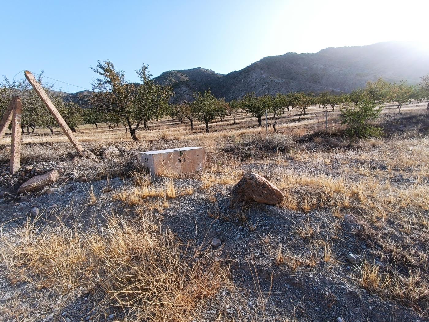 Domaine agricole irrigué avec un puits communautaire de 8000 m2 à Dúrcal. à Dúrcal