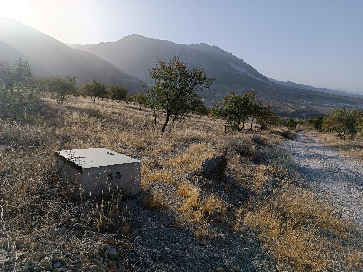 Domaine agricole irrigué avec un puits communautaire de 8000 m2 à Dúrcal. à Dúrcal