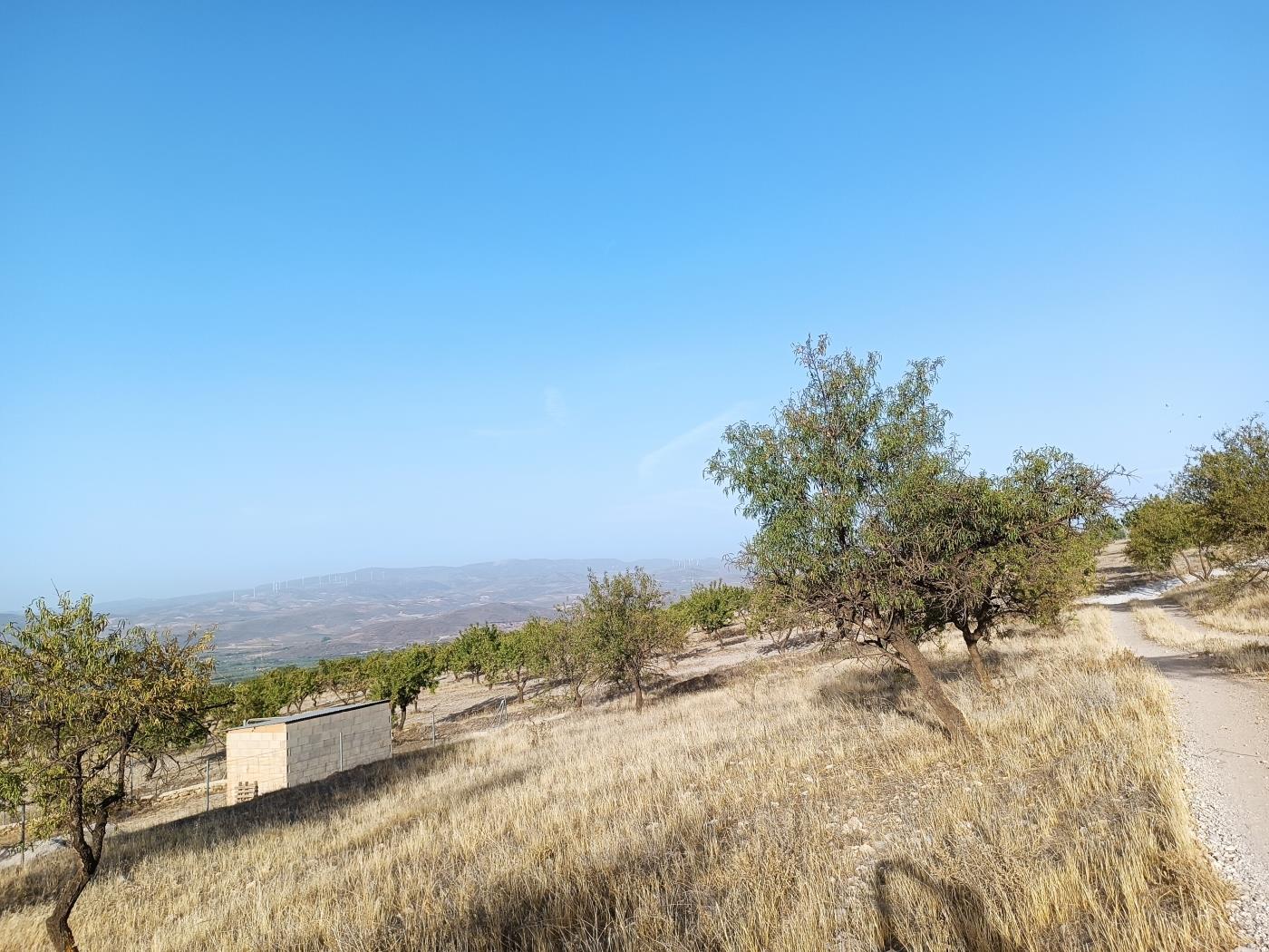 Domaine agricole irrigué avec un puits communautaire de 8000 m2 à Dúrcal. à Dúrcal
