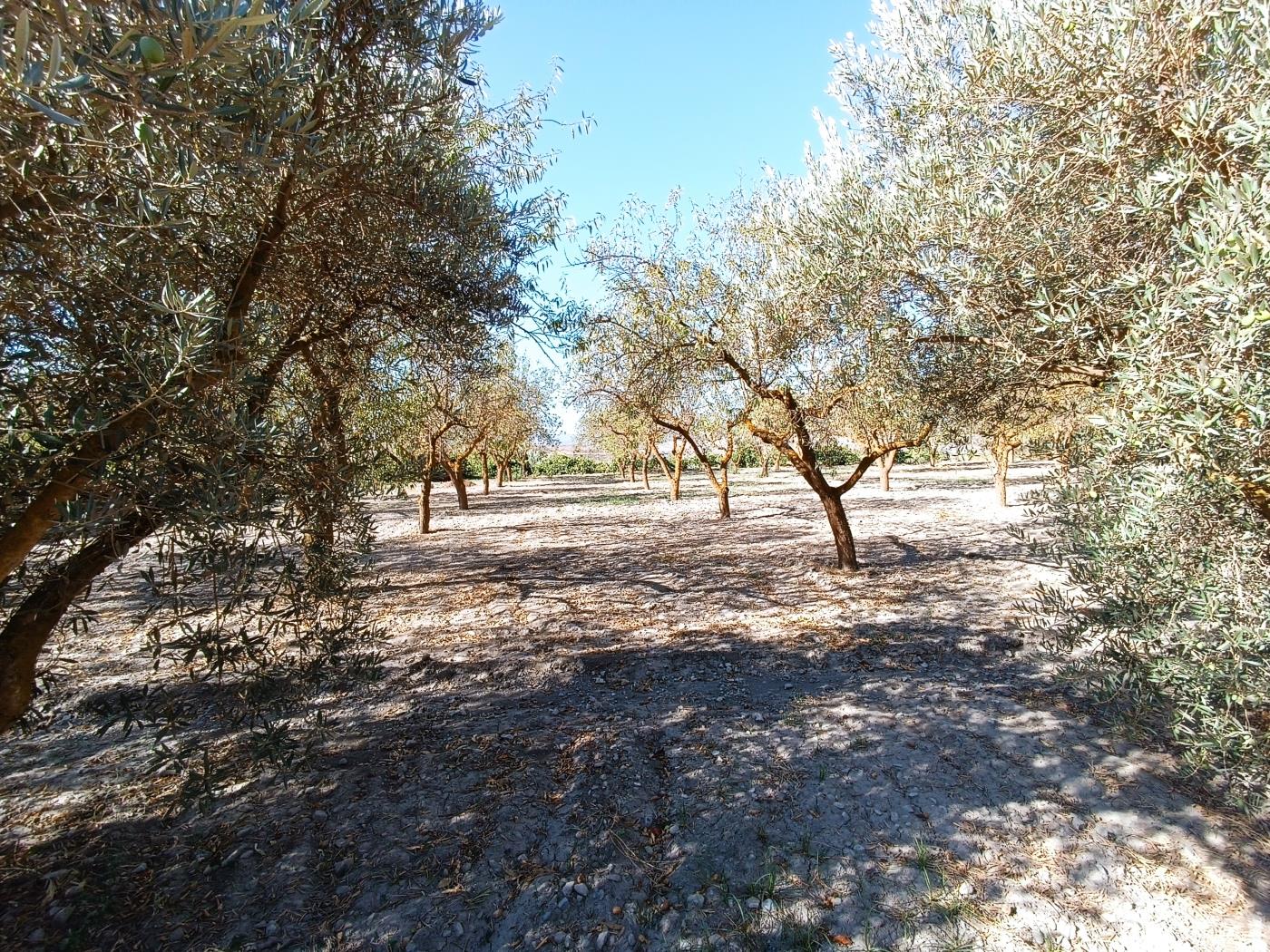 Erholungsgrundstück von 1598 m2 in Dúrcal. in Dúrcal