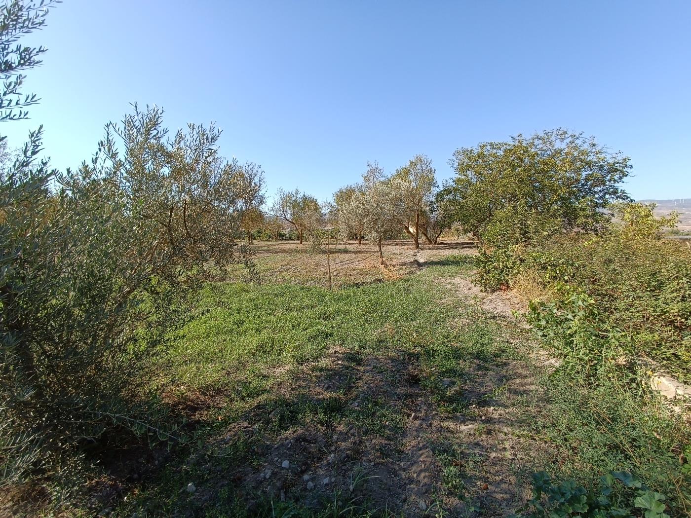 Erholungsgrundstück von 1598 m2 in Dúrcal. in Dúrcal