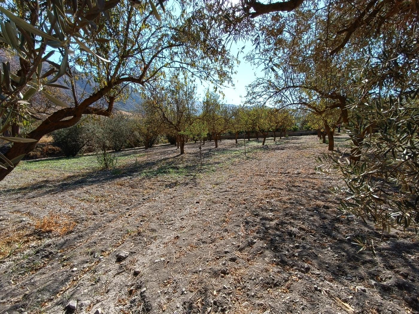 Erholungsgrundstück von 1598 m2 in Dúrcal. in Dúrcal