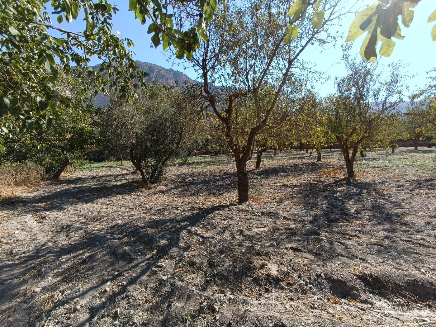 Erholungsgrundstück von 1598 m2 in Dúrcal. in Dúrcal