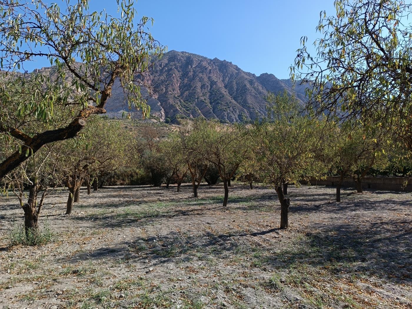 Erholungsgrundstück von 1598 m2 in Dúrcal. in Dúrcal