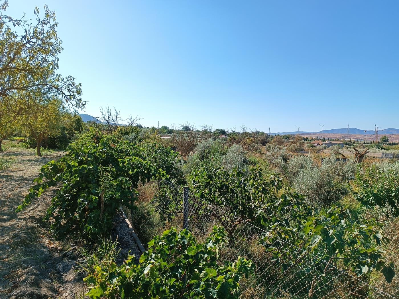 Erholungsgrundstück von 1598 m2 in Dúrcal. in Dúrcal