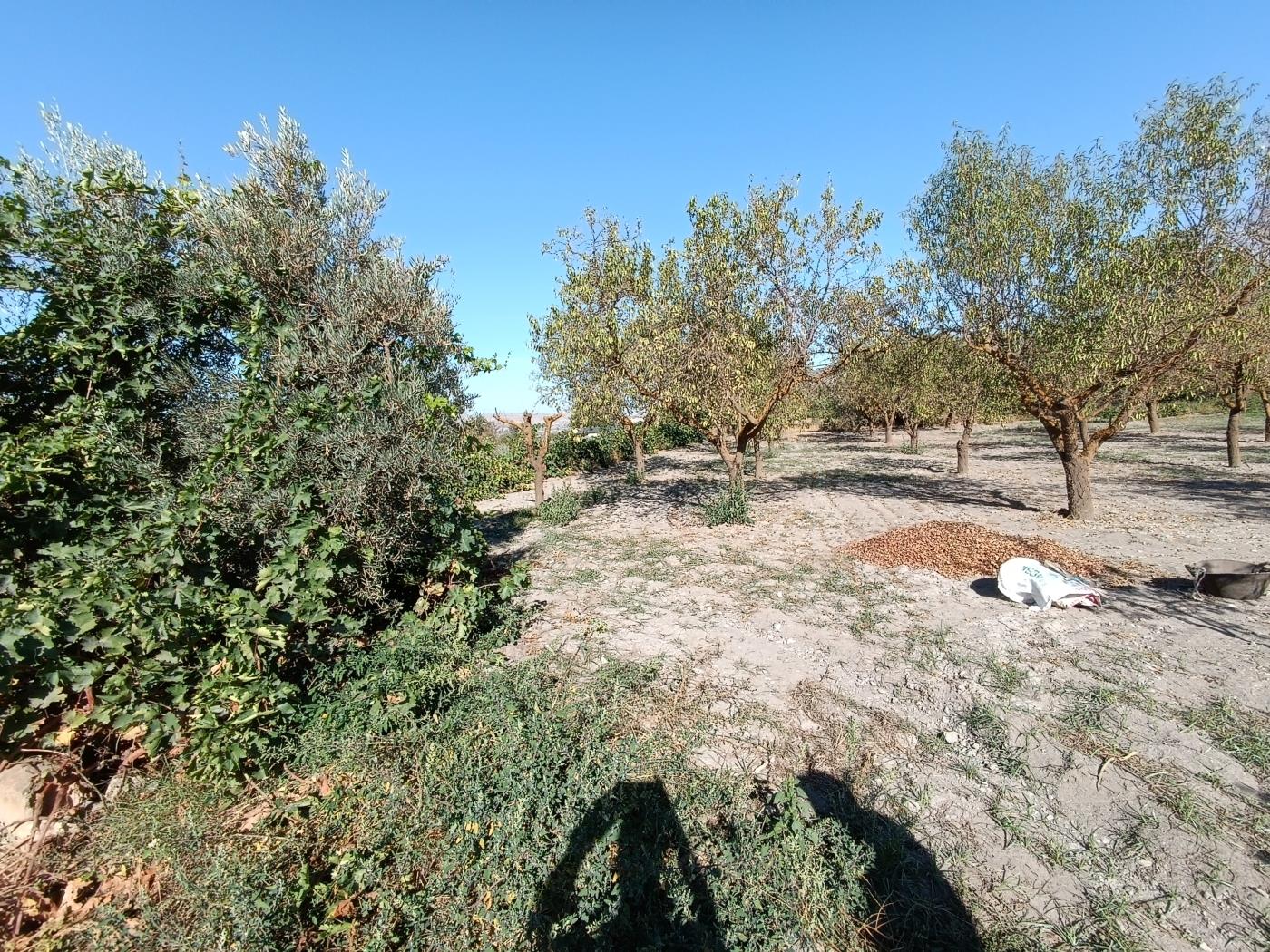 Erholungsgrundstück von 1598 m2 in Dúrcal. in Dúrcal