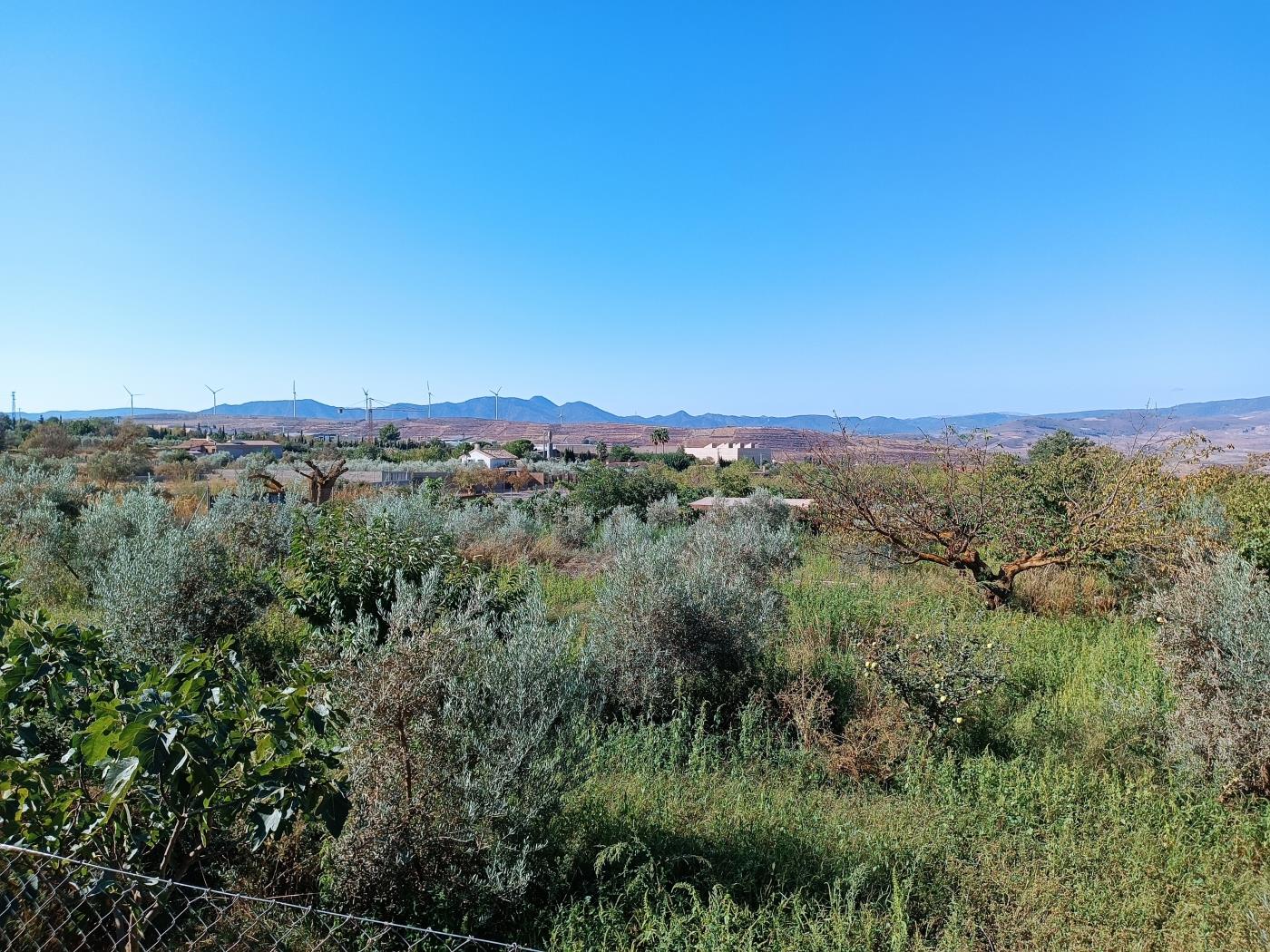 Erholungsgrundstück von 1598 m2 in Dúrcal. in Dúrcal