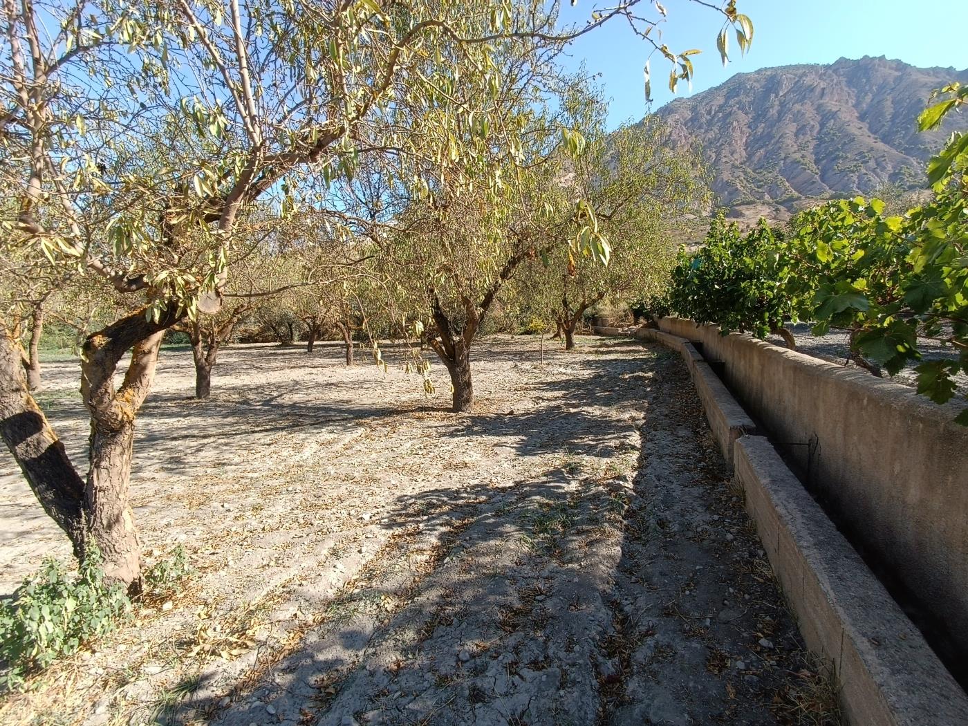 Erholungsgrundstück von 1598 m2 in Dúrcal. in Dúrcal