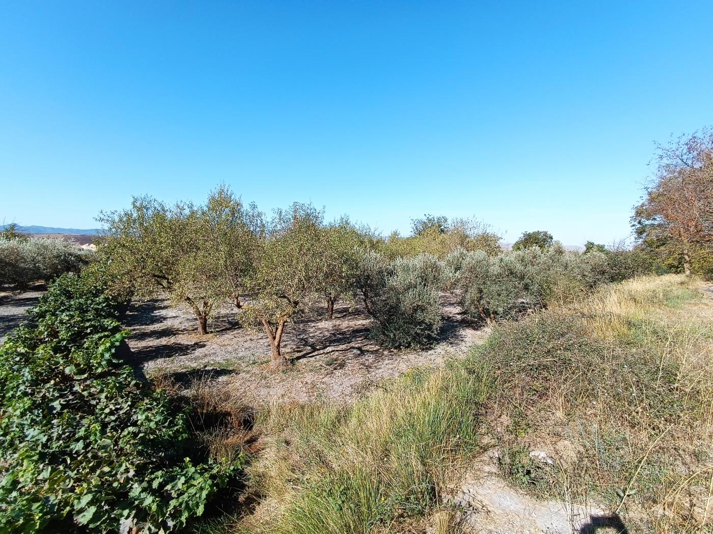 Erholungsgrundstück von 1598 m2 in Dúrcal. in Dúrcal