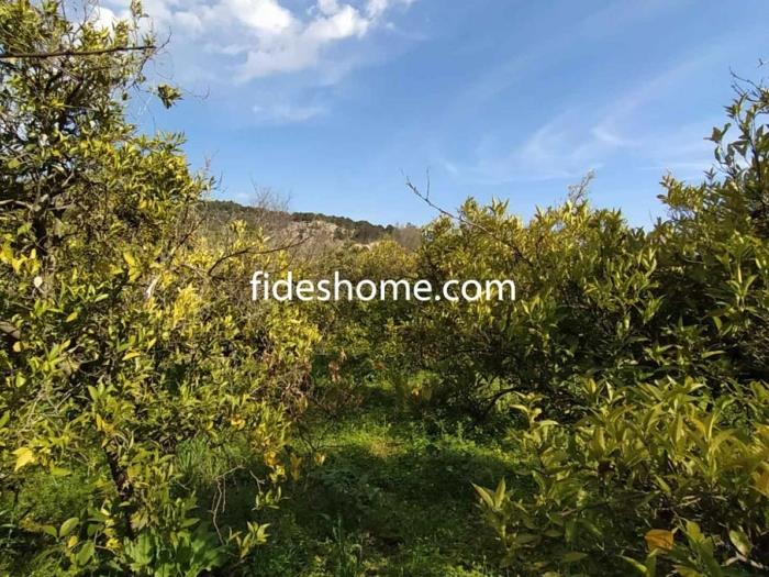 Finca de recreo de 1800 m2 en camino de Chite Bajo en Chite