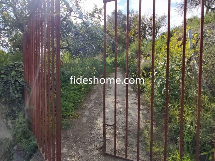 Finca de recreo de 1800 m2 en camino de Chite Bajo en Chite