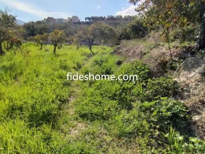 Finca de recreo de 1800 m2 en camino de Chite Bajo en Chite