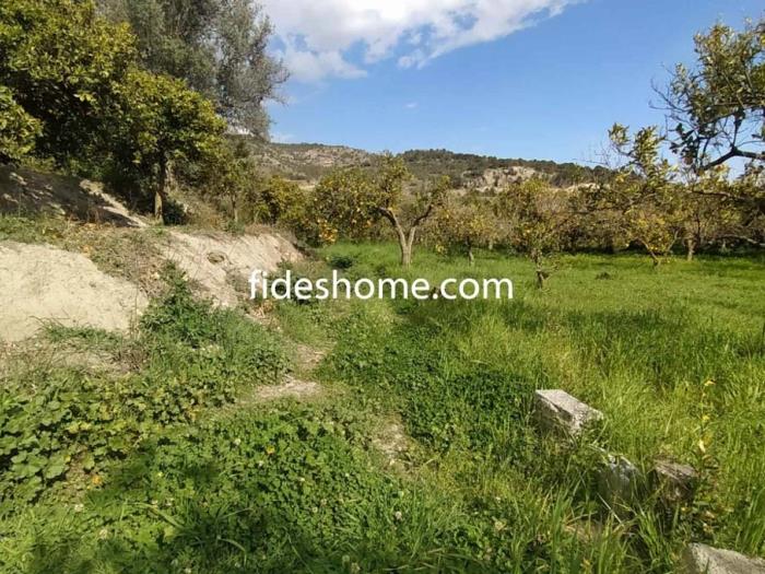 Finca de recreo de 1800 m2 en camino de Chite Bajo en Chite
