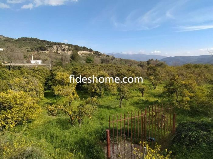 Finca de recreo de 1800 m2 en camino de Chite Bajo en Chite
