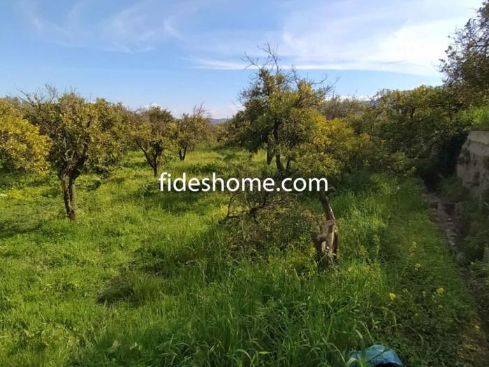 Finca de recreo de 1800 m2 en camino de Chite Bajo en Chite