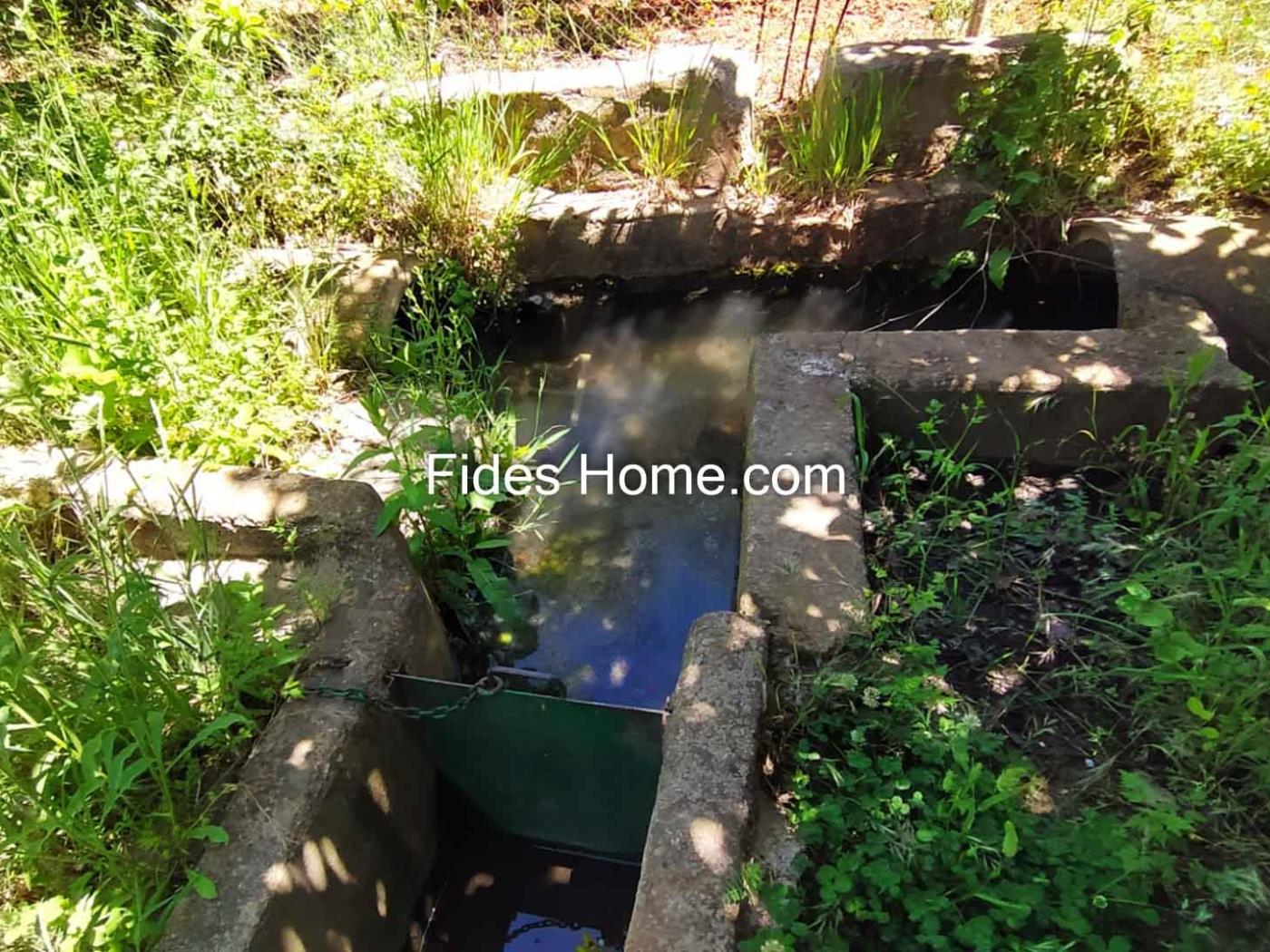 4200 m2 olive estate in Marchena-Dúrcal. in Dúrcal