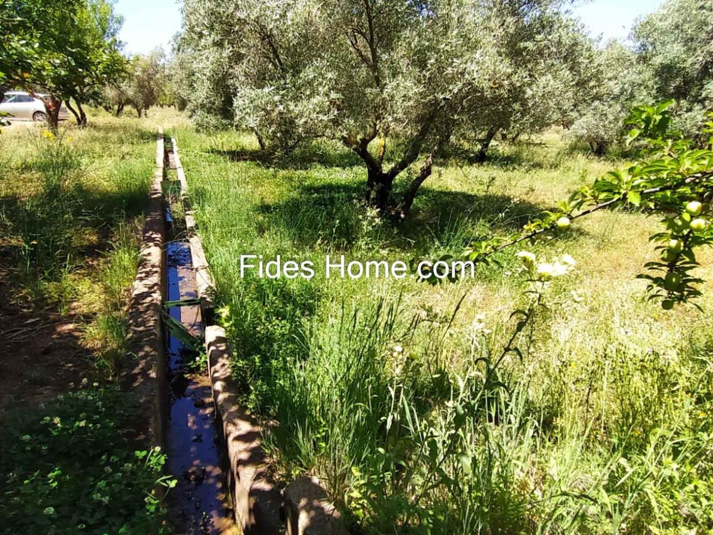 4200 m2 olive estate in Marchena-Dúrcal. in Dúrcal