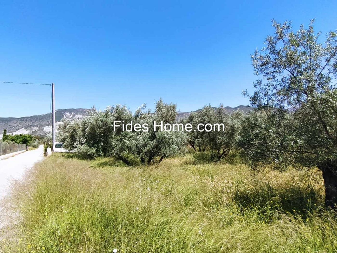 4200 m2 olive estate in Marchena-Dúrcal. in Dúrcal