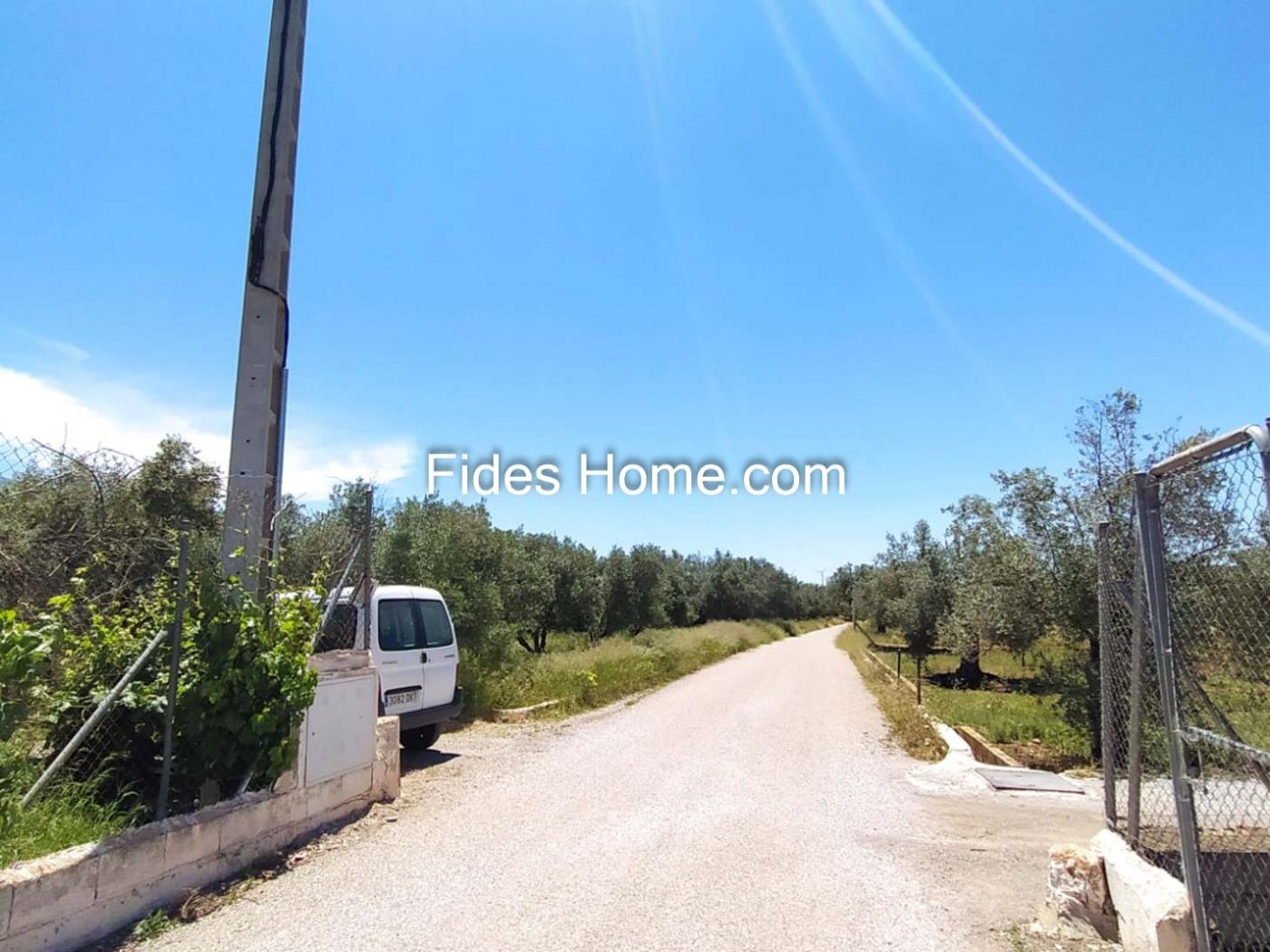 4200 m2 olive estate in Marchena-Dúrcal. in Dúrcal