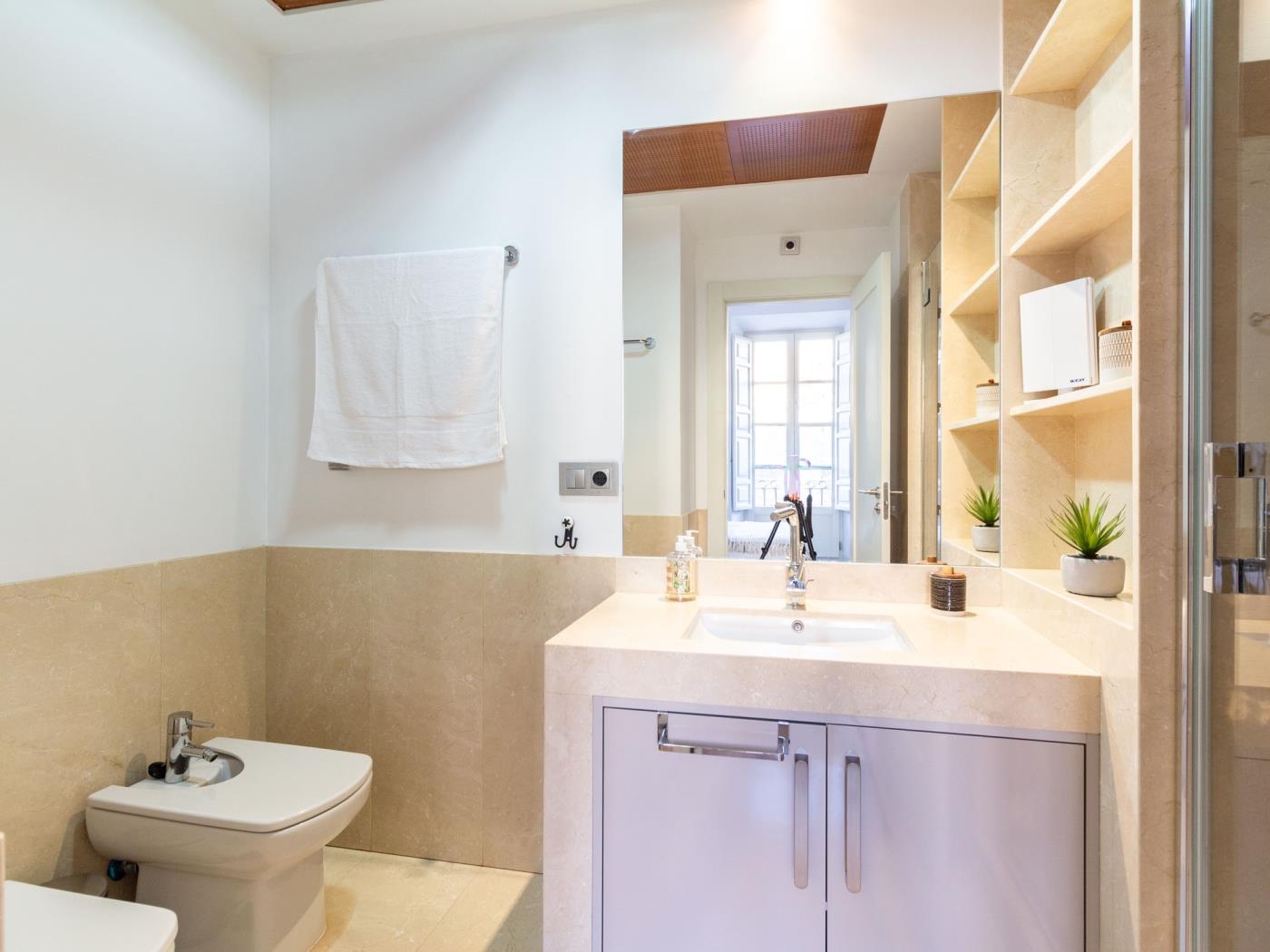 Stilvolle Wohnung im Herzen von Granada in Granada