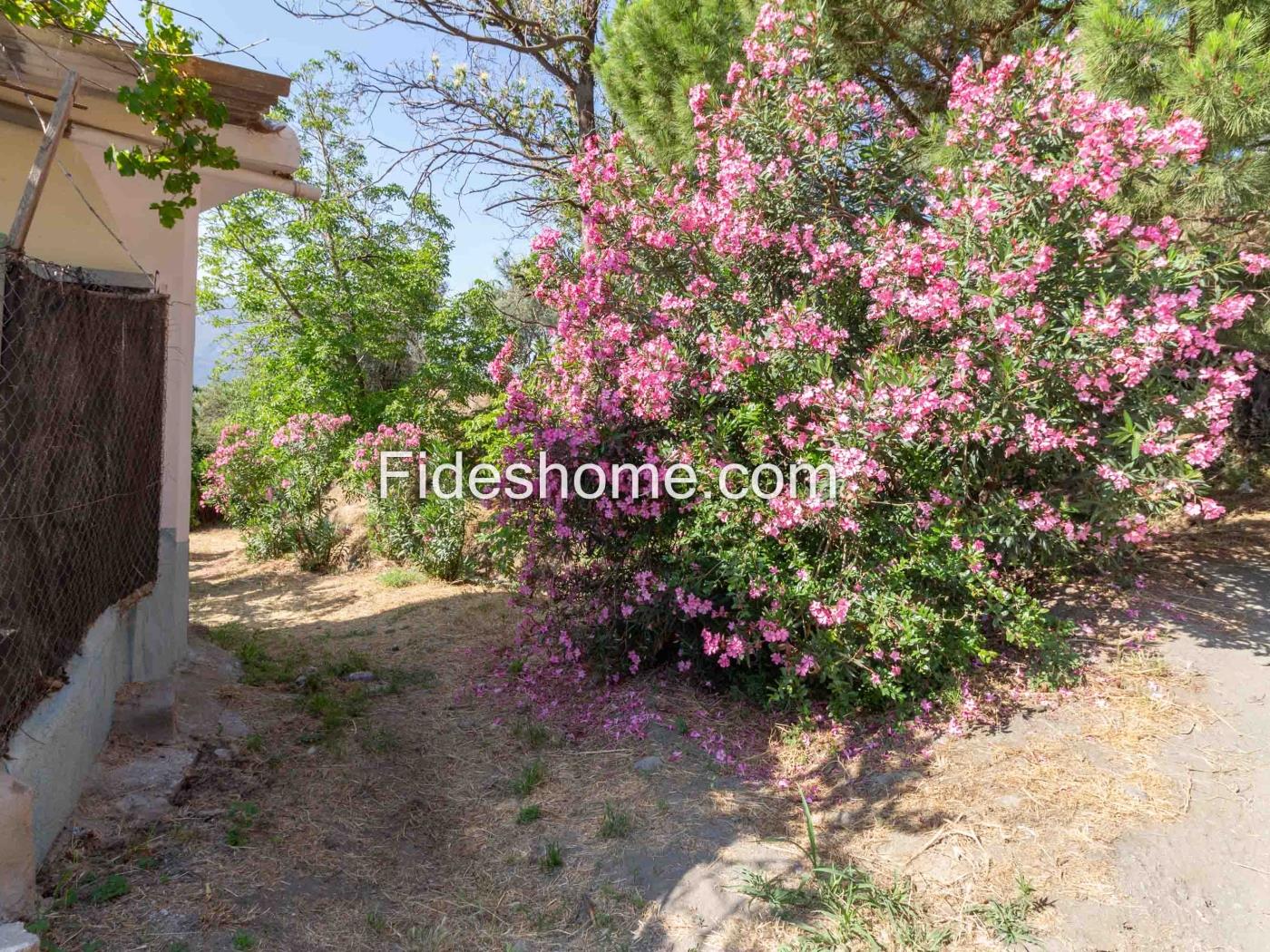 Cortijo mit bewässertem Land und Aussicht in Lanjarón