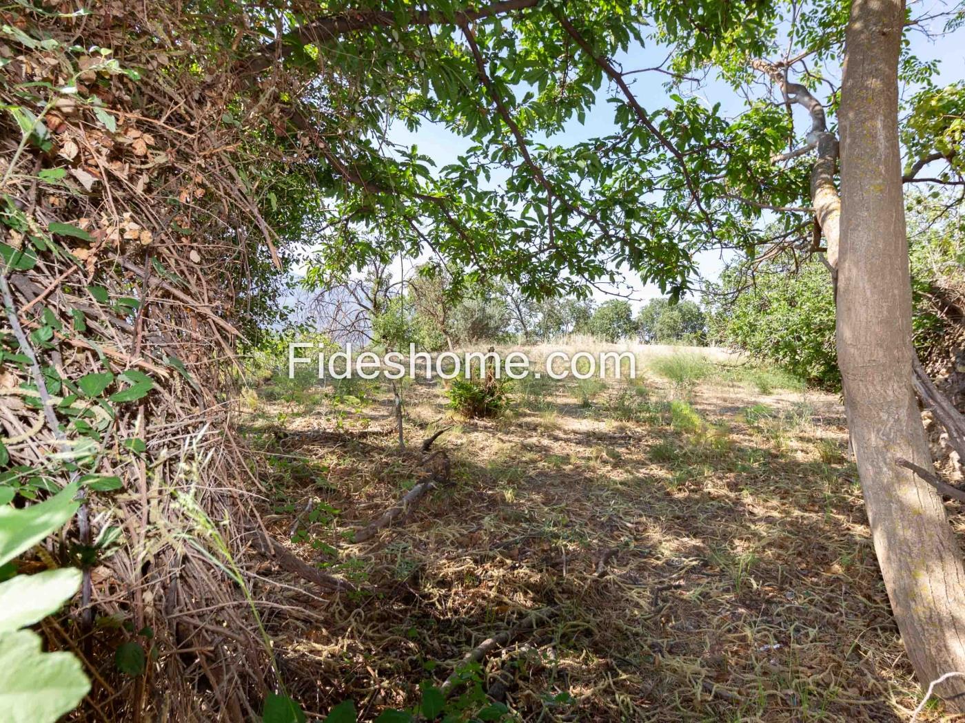 Cortijo mit bewässertem Land und Aussicht in Lanjarón