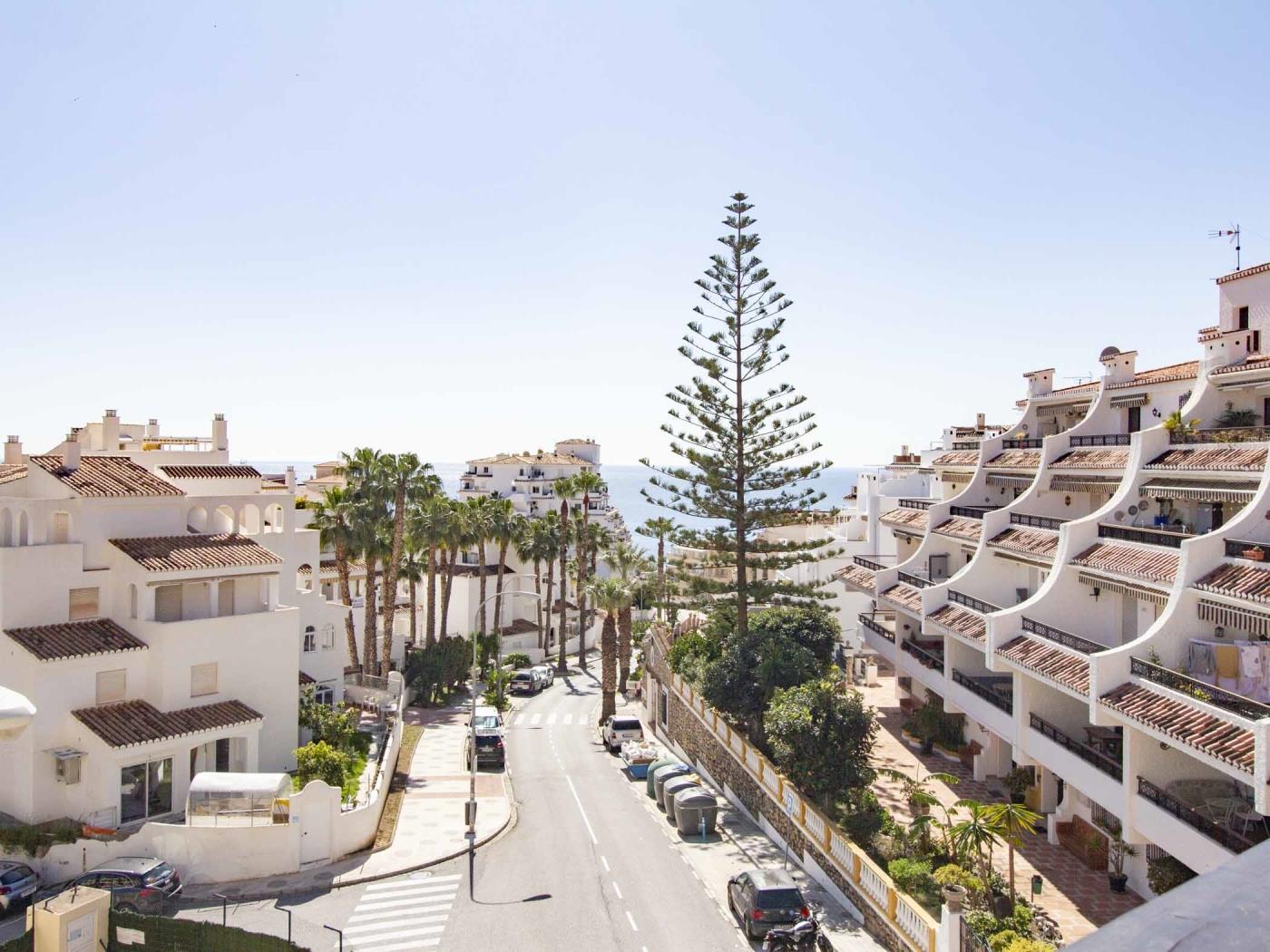 Charming duplex penthouse on the beach with terrace in Almuñecar
