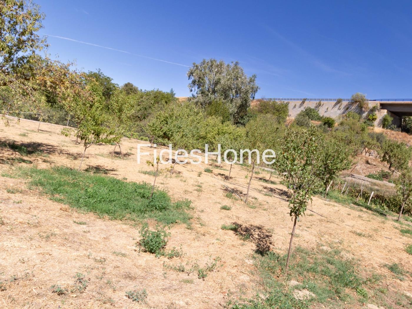 Rustic Plot in Cañada de la Pomma – Dúrcal (Granada) in Dúrcal