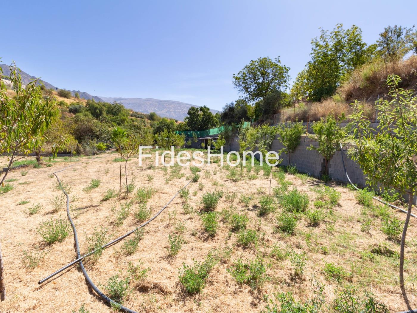 Rustic Plot in Cañada de la Pomma – Dúrcal (Granada) in Dúrcal