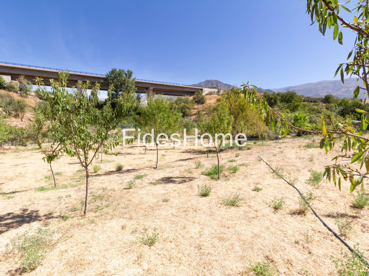 Rustic Plot in Cañada de la Pomma – Dúrcal (Granada) in Dúrcal