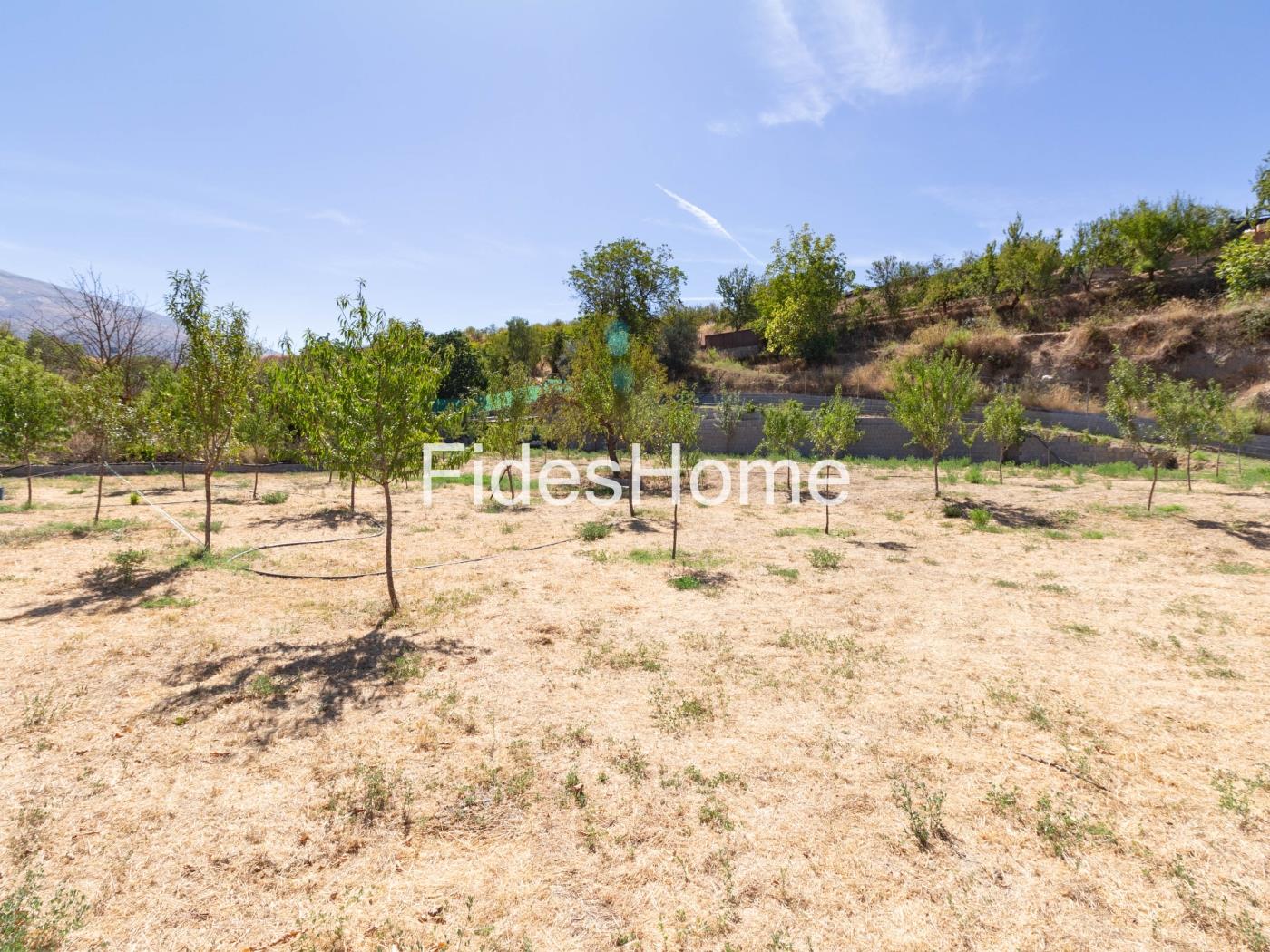 Rustic Plot in Cañada de la Pomma – Dúrcal (Granada) in Dúrcal