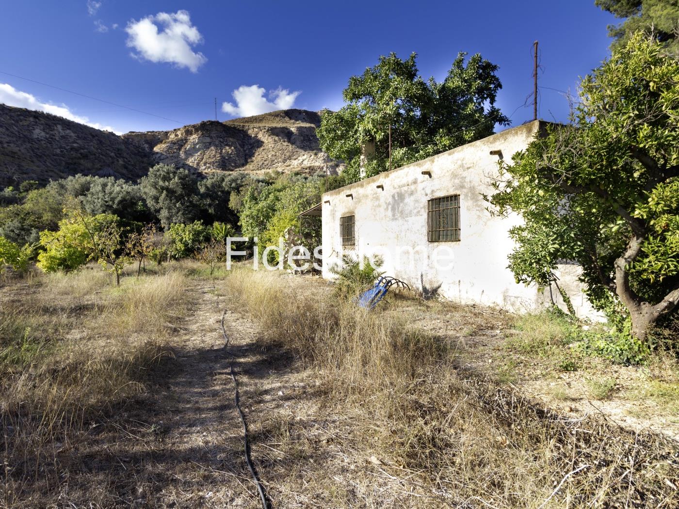 Rustic property with large pond and tool shed in Murchas