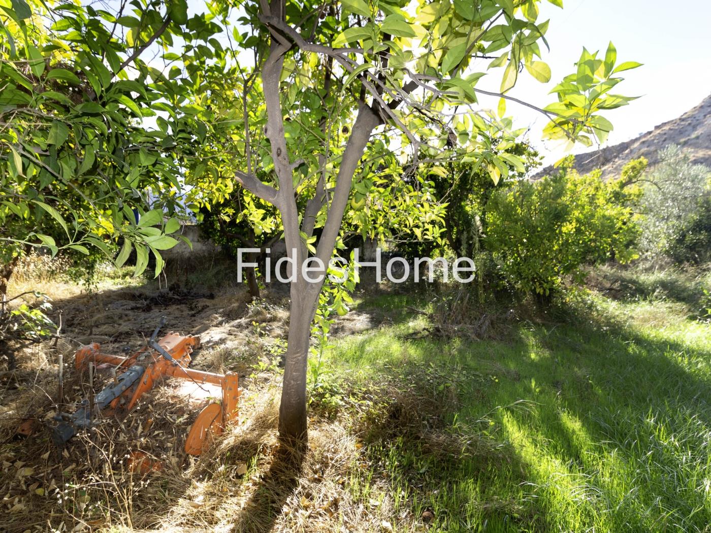 Rustic property with large pond and tool shed in Murchas