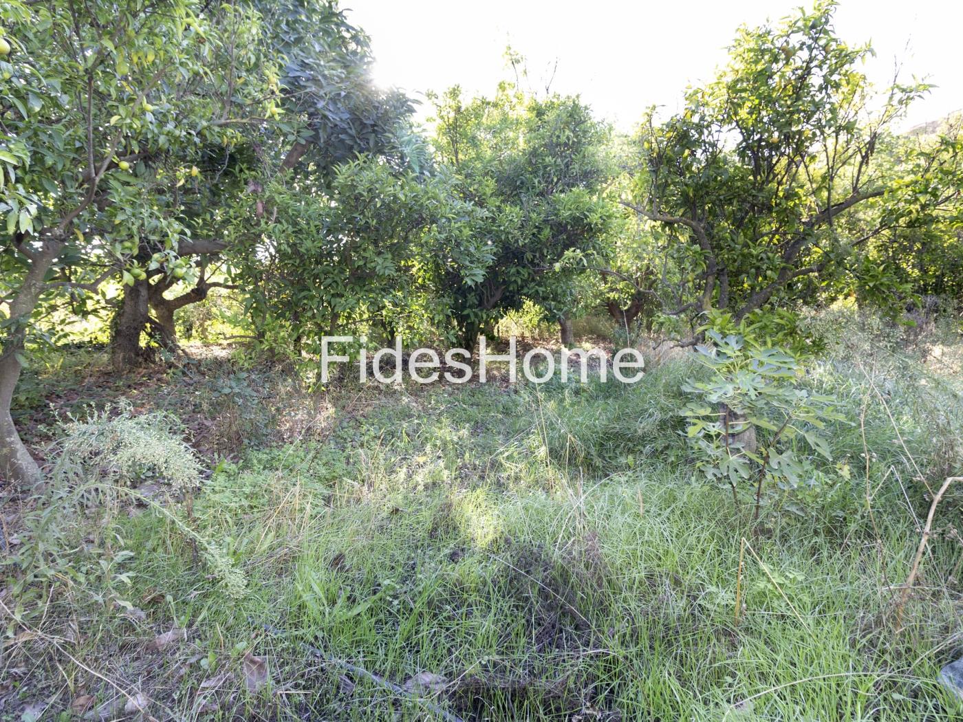 Rustic property with large pond and tool shed in Murchas