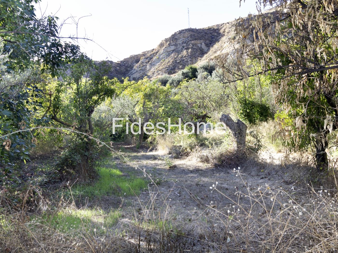 Rustic property with large pond and tool shed in Murchas