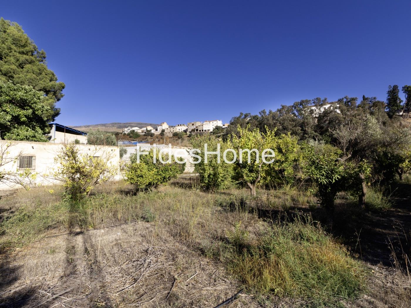 Rustic property with large pond and tool shed in Murchas