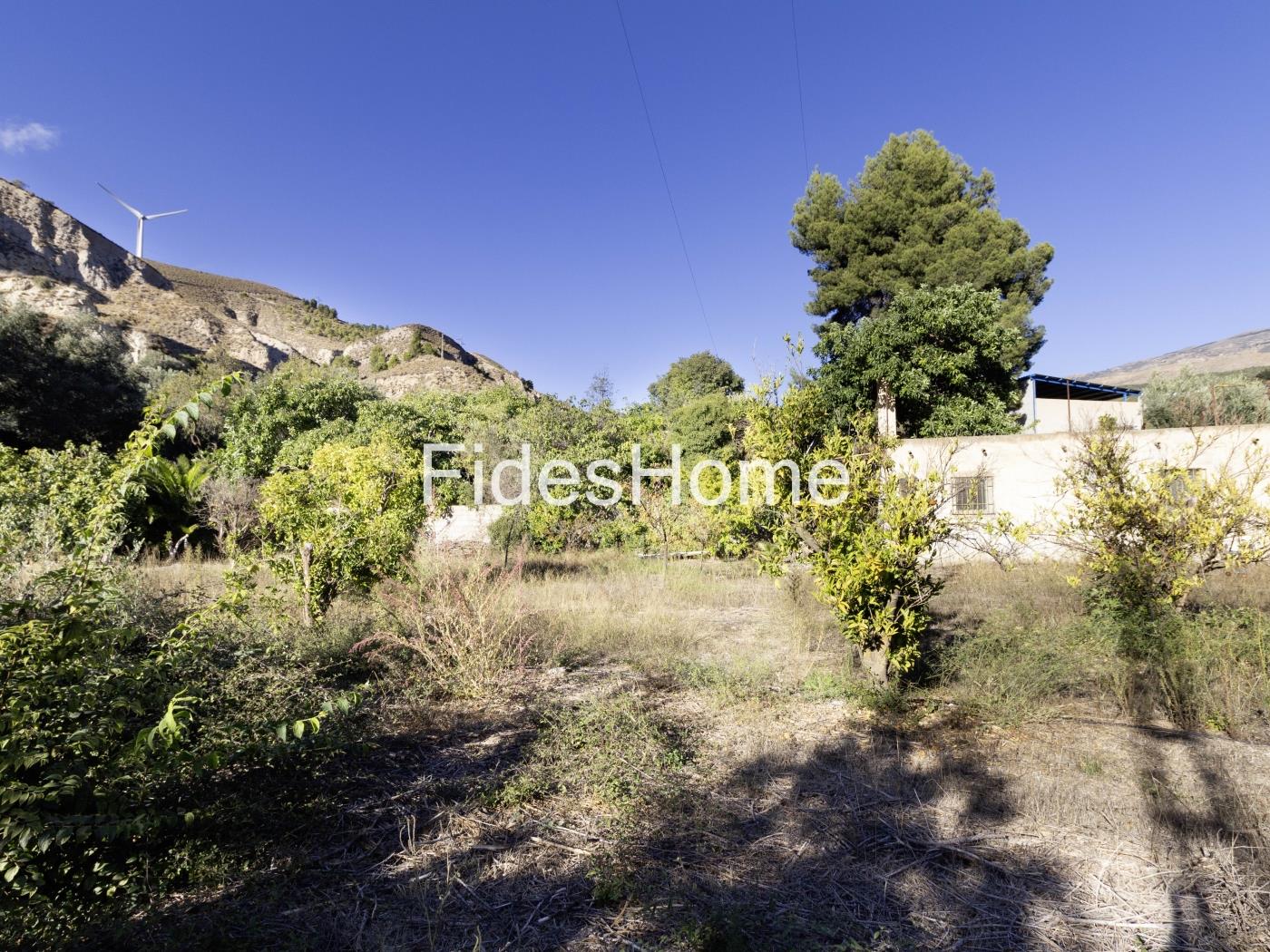 Rustic property with large pond and tool shed in Murchas