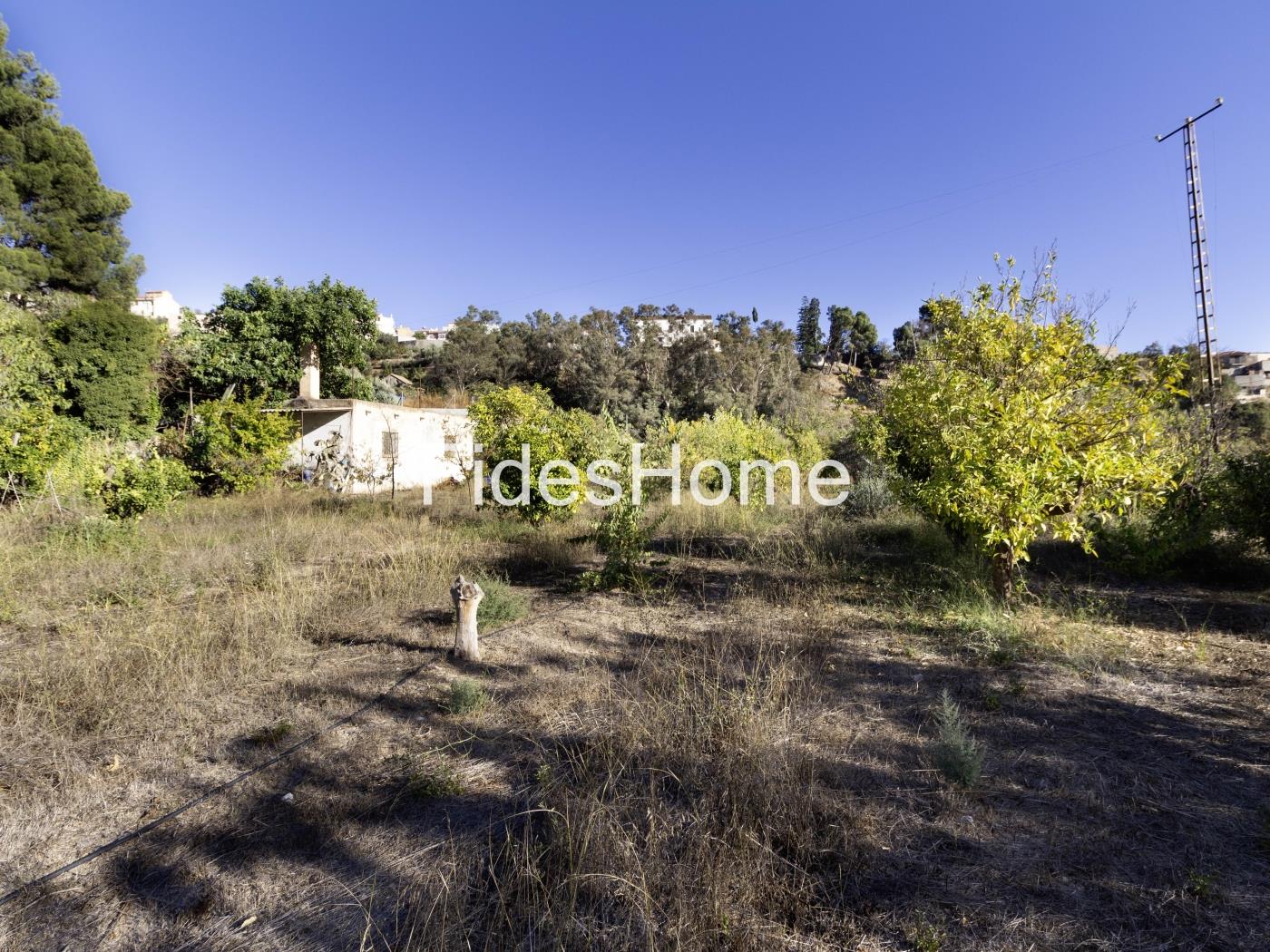 Rustic property with large pond and tool shed in Murchas