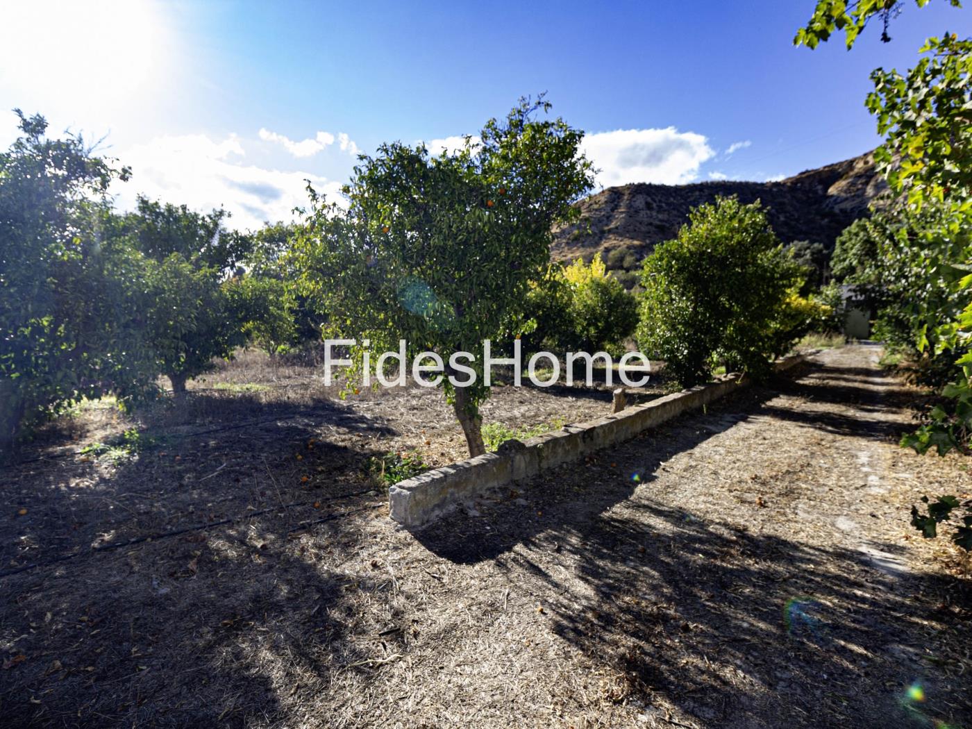 Rustic property with large pond and tool shed in Murchas