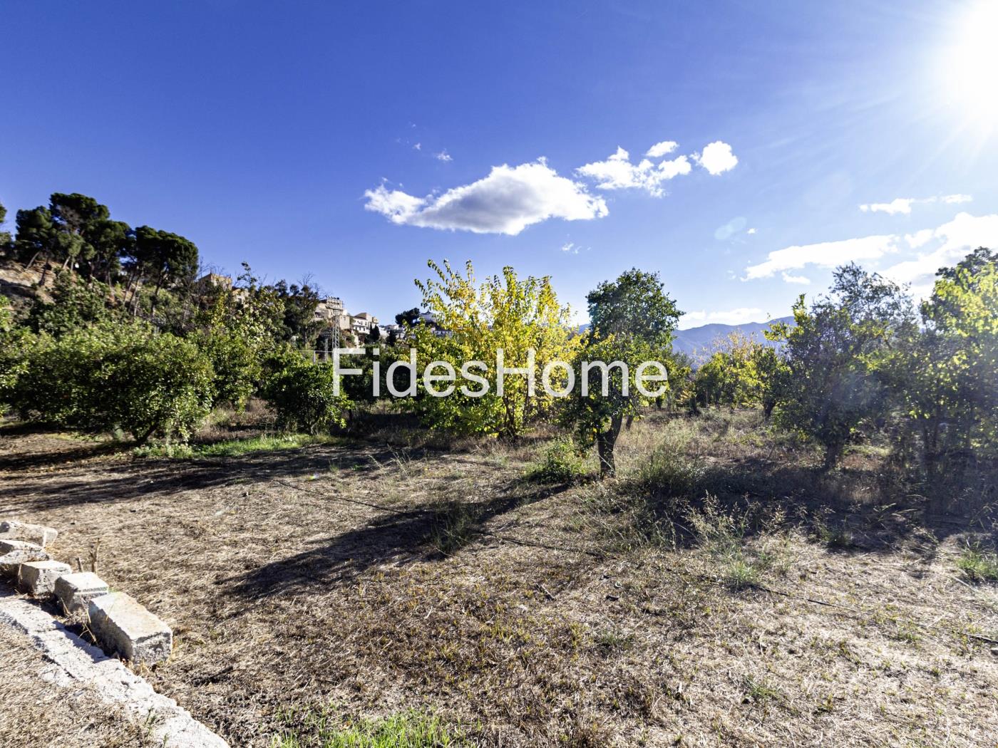 Rustic property with large pond and tool shed in Murchas