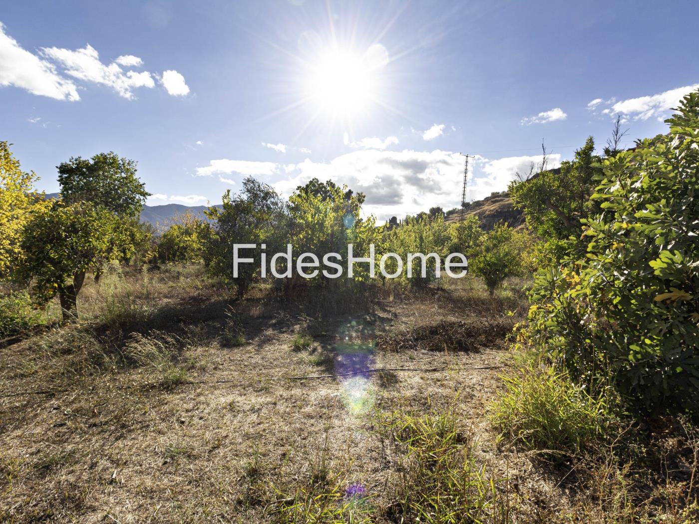 Rustic property with large pond and tool shed in Murchas
