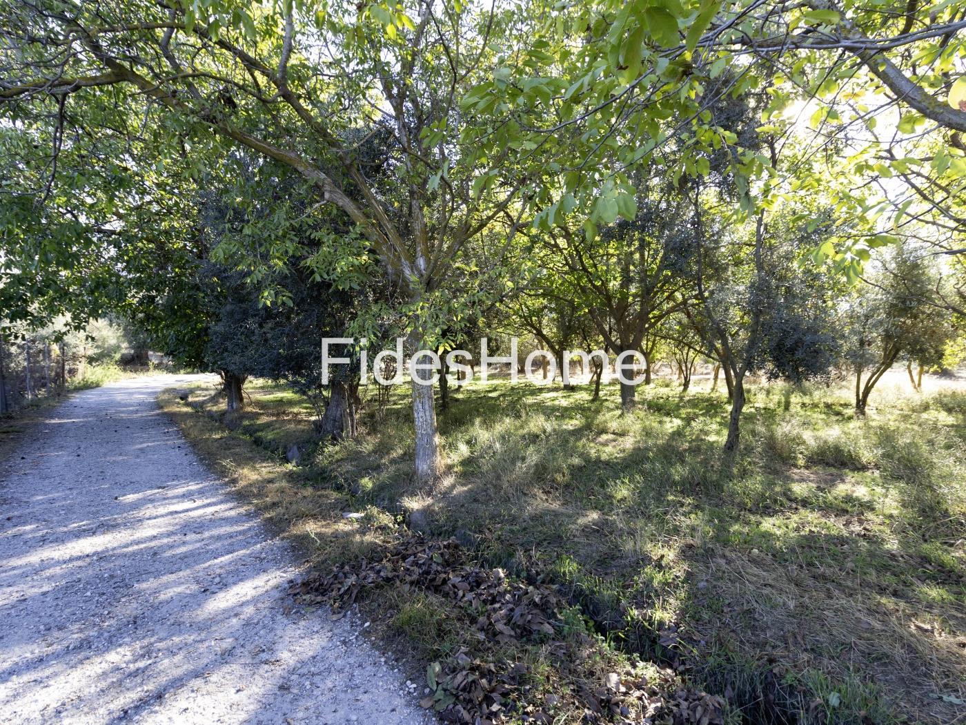Finca de regadío en Nigüelas en Nigüelas