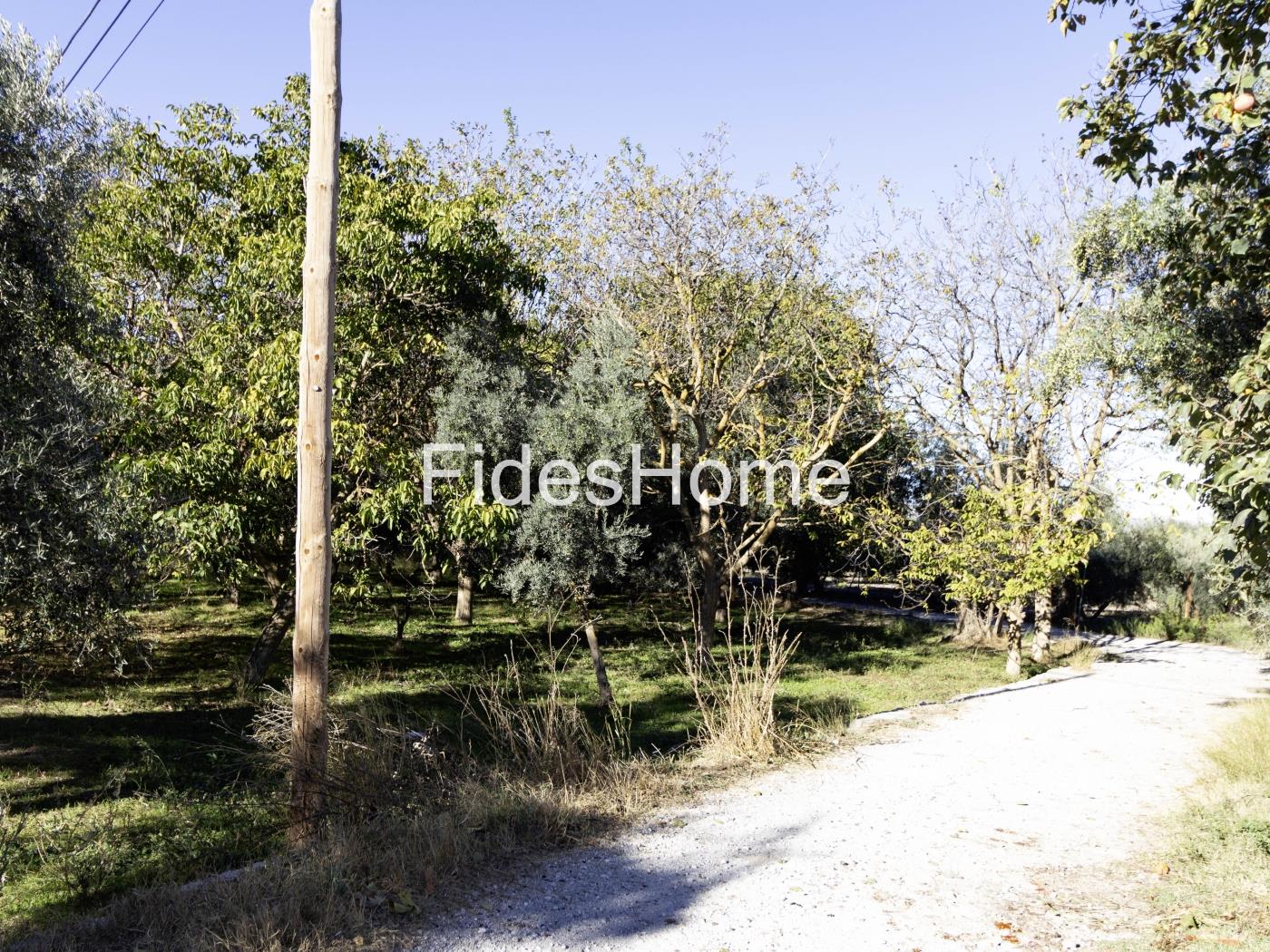 Finca de regadío en Nigüelas en Nigüelas
