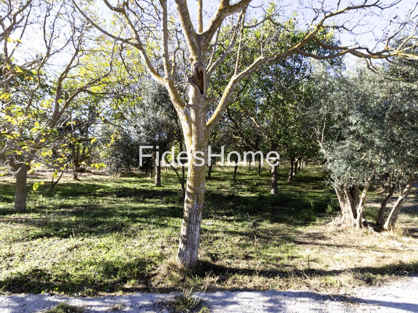 Finca de regadío en Nigüelas en Nigüelas