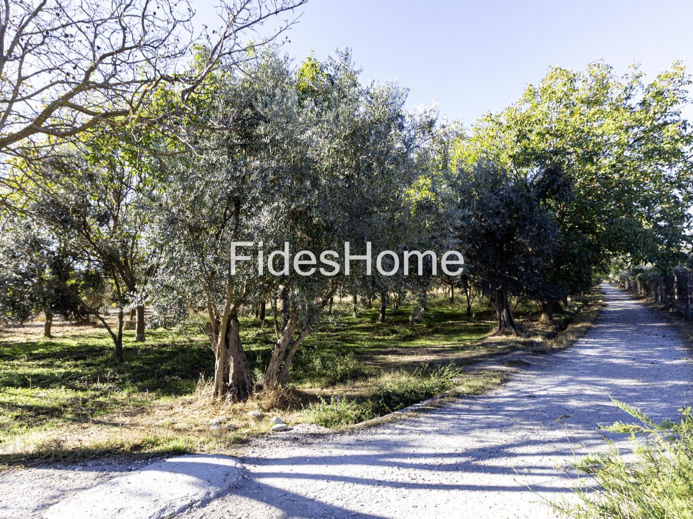 Finca de regadío en Nigüelas en Nigüelas