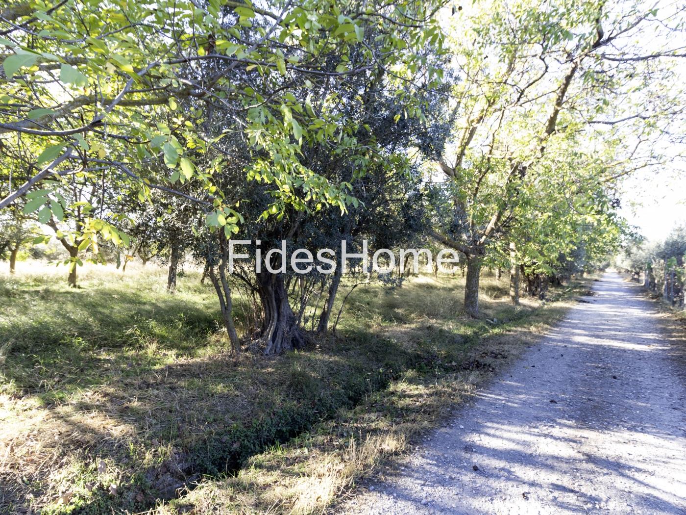 Finca de regadío en Nigüelas en Nigüelas