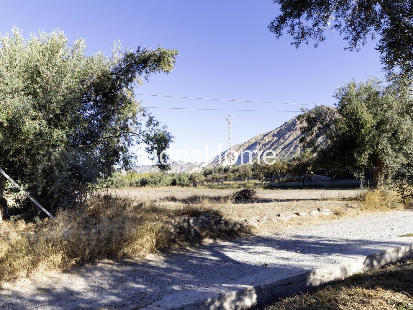 Terrain irrigué à Nigüelas avec une petite maison de campagne à Nigüelas